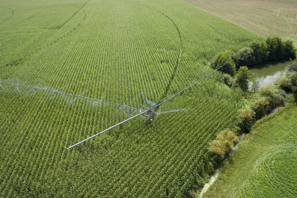 Vue aérienne d'un pivot Otech dans un champ de maïs