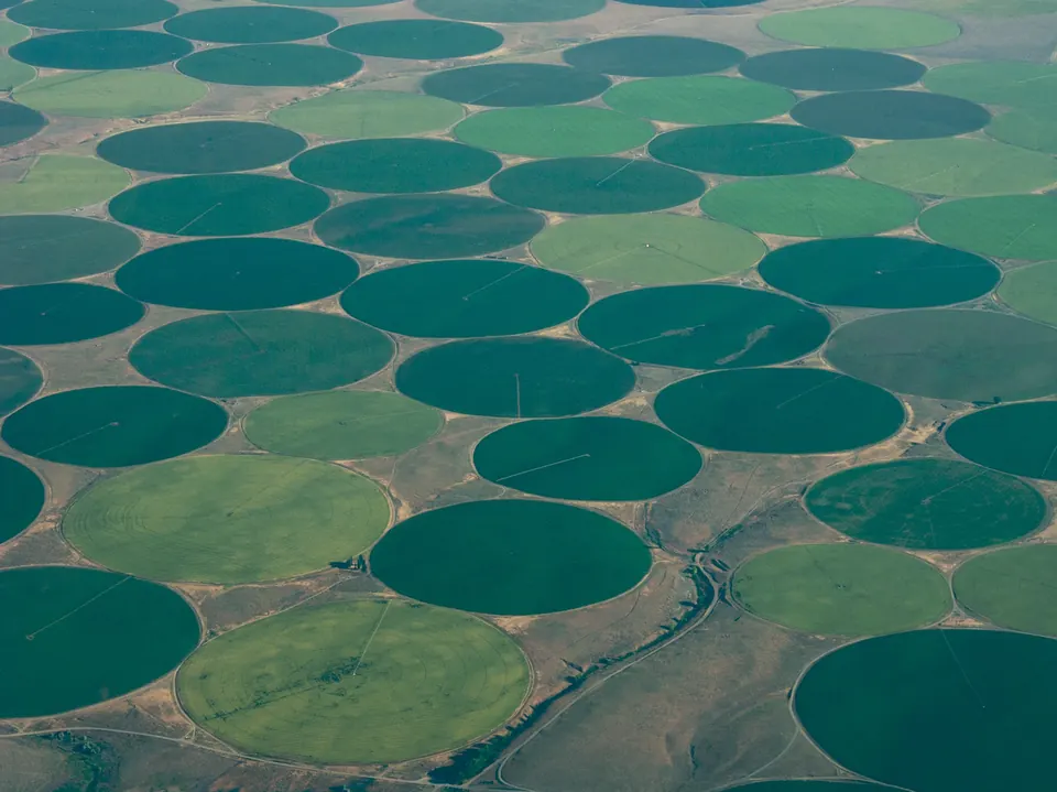 Vue aérienne de parcelles irriguées par pivots