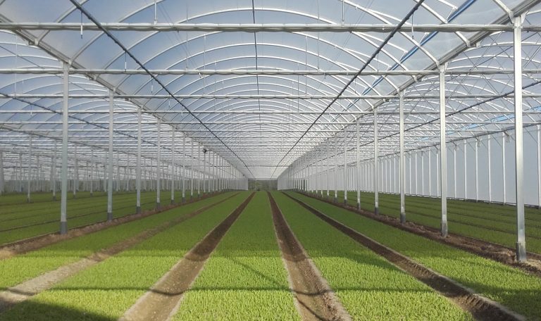 Irrigation Cultures Spécialisées